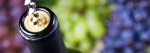 Make Your Own Wine
